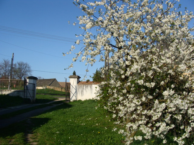 Kissomlyói kapu