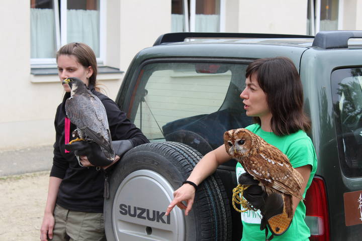 Ltogatk a Chernel-kertbl