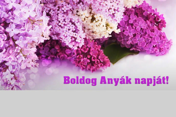 Köszöntjük az édesanyákat! Köszöntjük az édesanyákat!