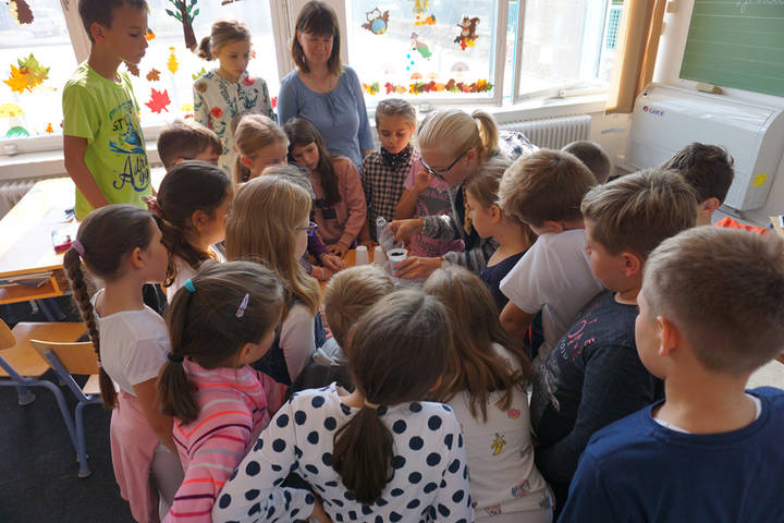 Kzssgben a teremtett vilgrt