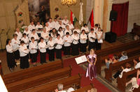 A 2009-es karnevlon
