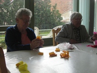 Int�zm�nyeinkben is bek�sz�nt�tt a tavasz